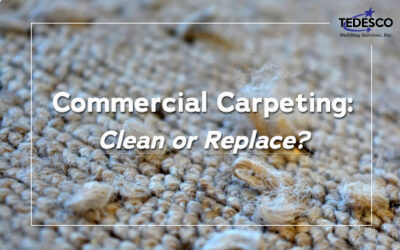 Commercial Carpeting: Continue Cleaning, or Time to Replace?